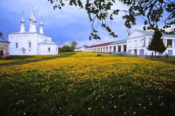  .  . /   Dandelions.  Suzdal