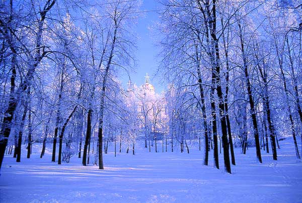  .  .  /  Pushkin Park.  Vladimir.